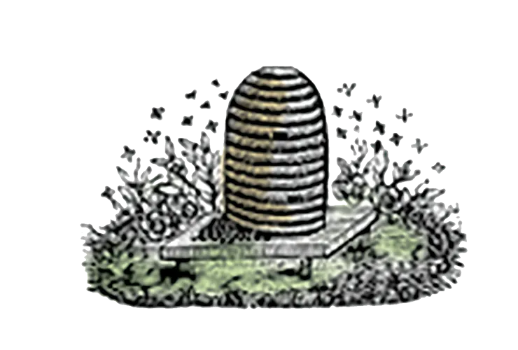 Beehive