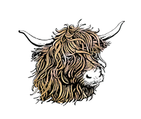 Bull