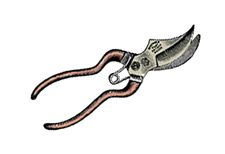 Secateurs